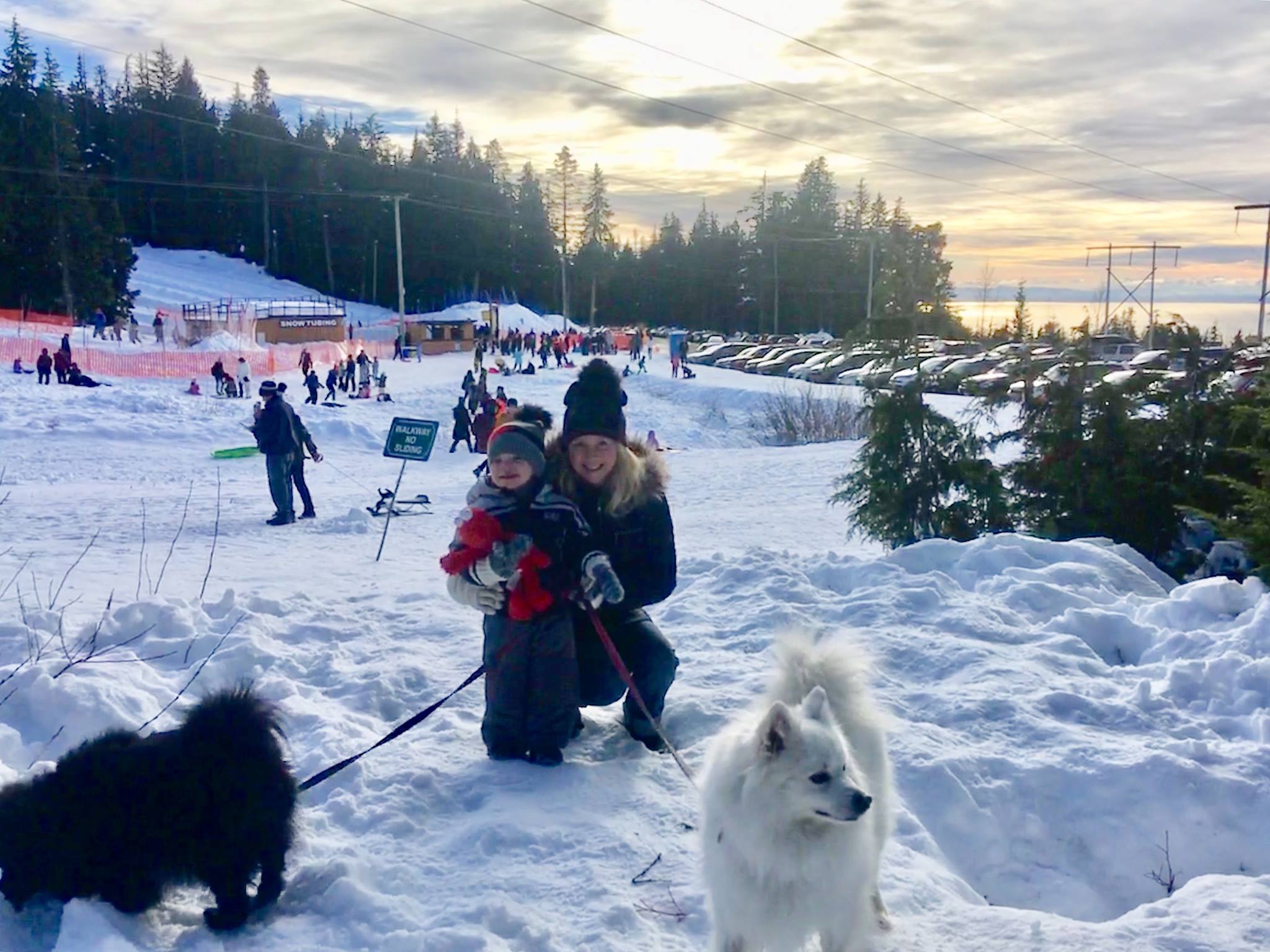 Best hotels in vancouver for christmas holidays 80 Image